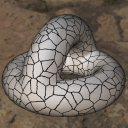 Mesh Filter In